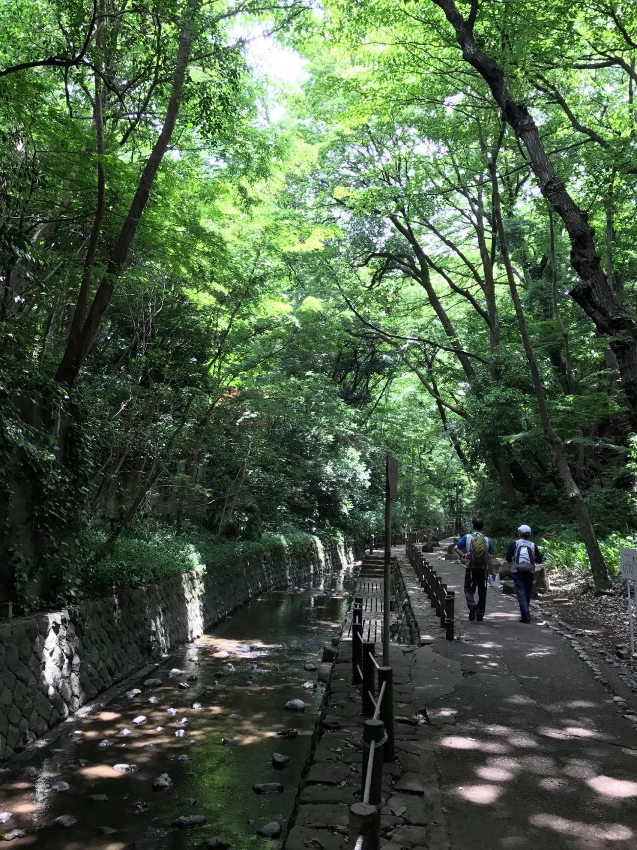 世田谷 駅から徒歩3分 等々力渓谷を散策して自然の力に癒される たびこふれ
